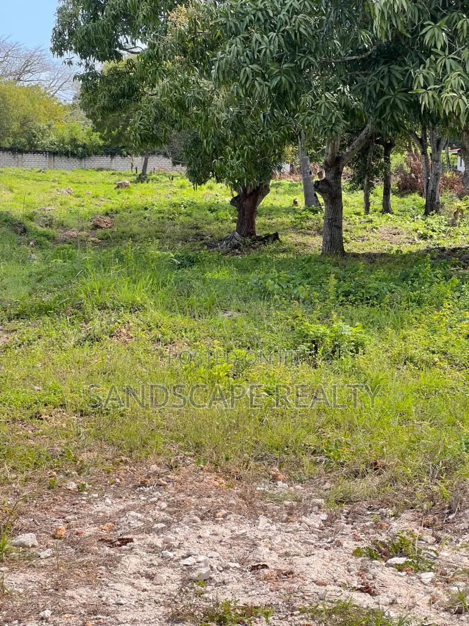 Diani Beach, 1/4 Acres Gated Community.