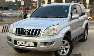 Toyota Land Cruiser 3.0 D-4D Executive 2005 Silver