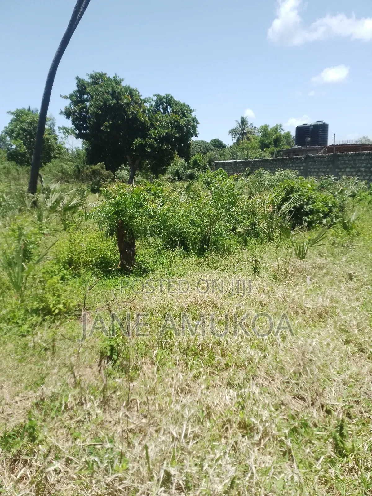 50 X 100 Plots Mtwapa Mtepeni