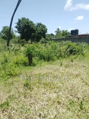 50 X 100 Plots Mtwapa Mtepeni