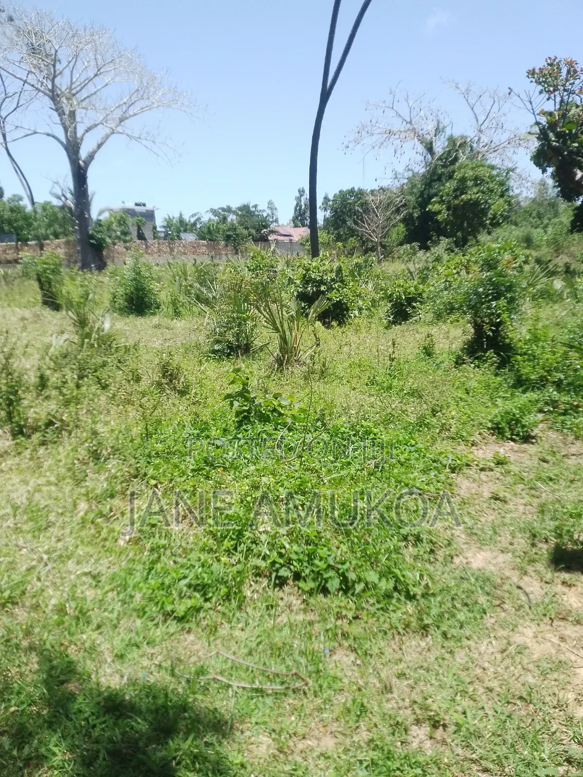 50 X 100 Plots Mtwapa Mtepeni