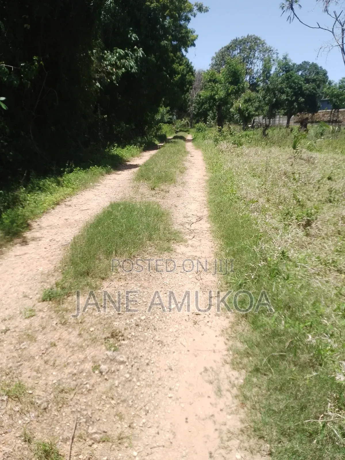 50 X 100 Plots Mtwapa Mtepeni
