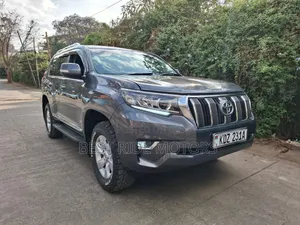 Toyota Land Cruiser Prado 3.0 190hp 2020 Gray