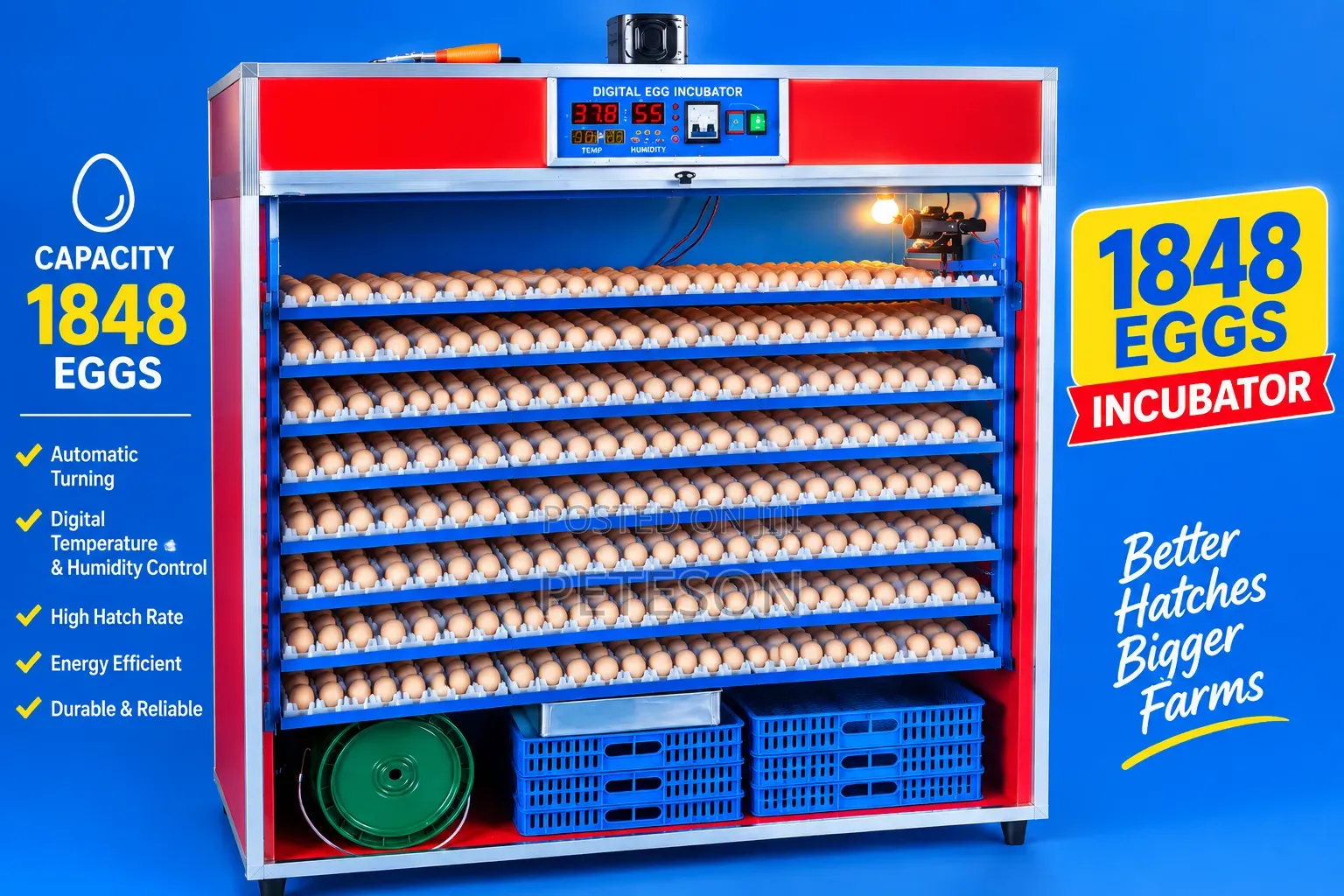 Eggs Incubators
