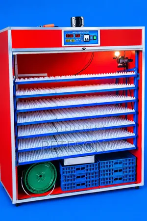 Eggs Incubators