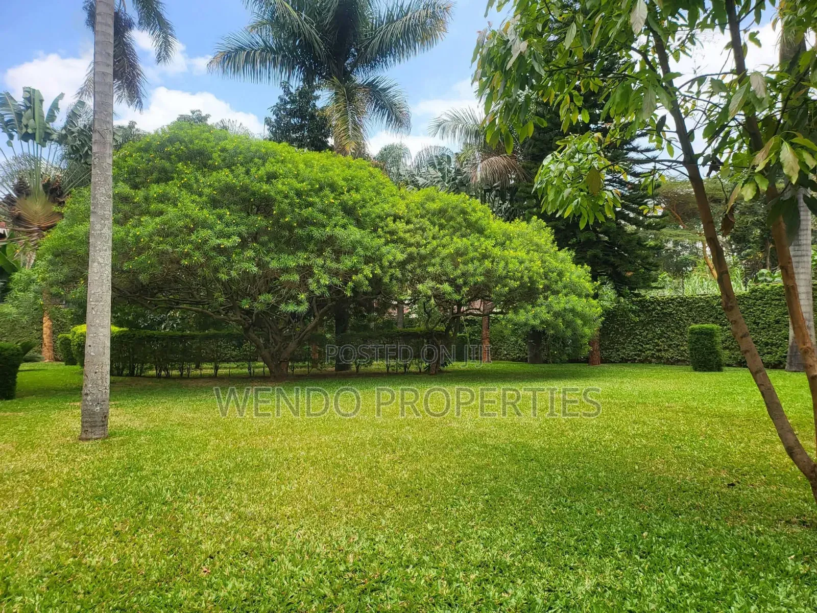 5bdrm Villa in Runda for rent