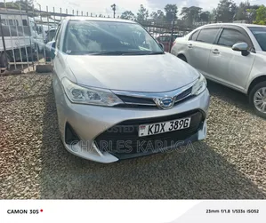Toyota Corolla Fielder 2017 Silver