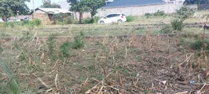 Plot for Sale 100×100