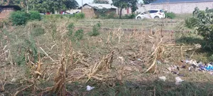 Plot for Sale 100×100