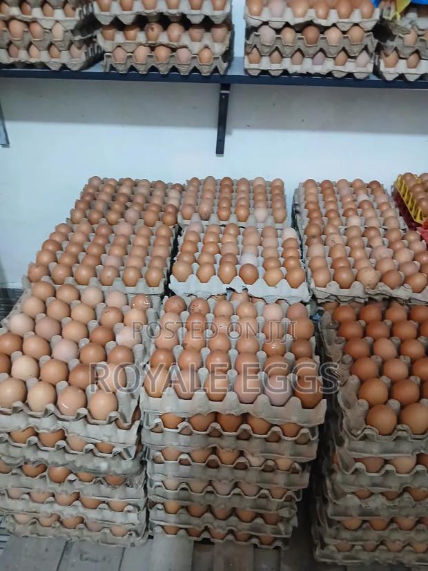 Eggs Available