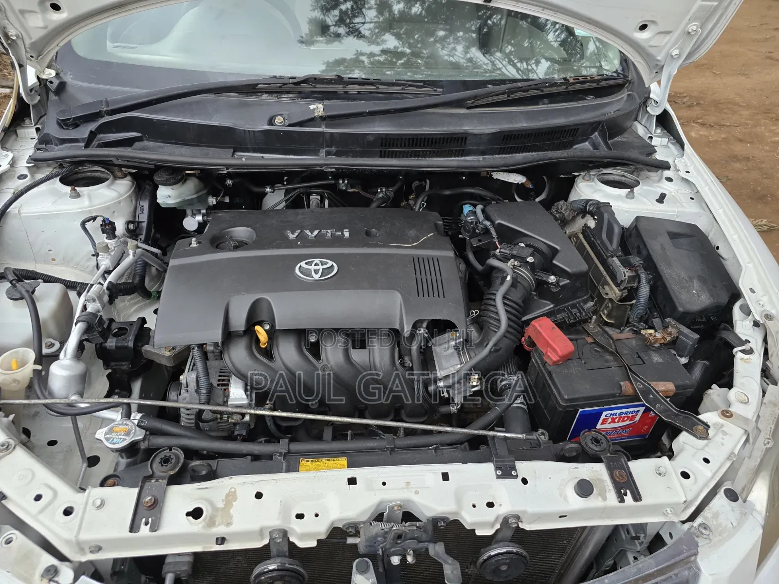 Toyota Axio 2009 White