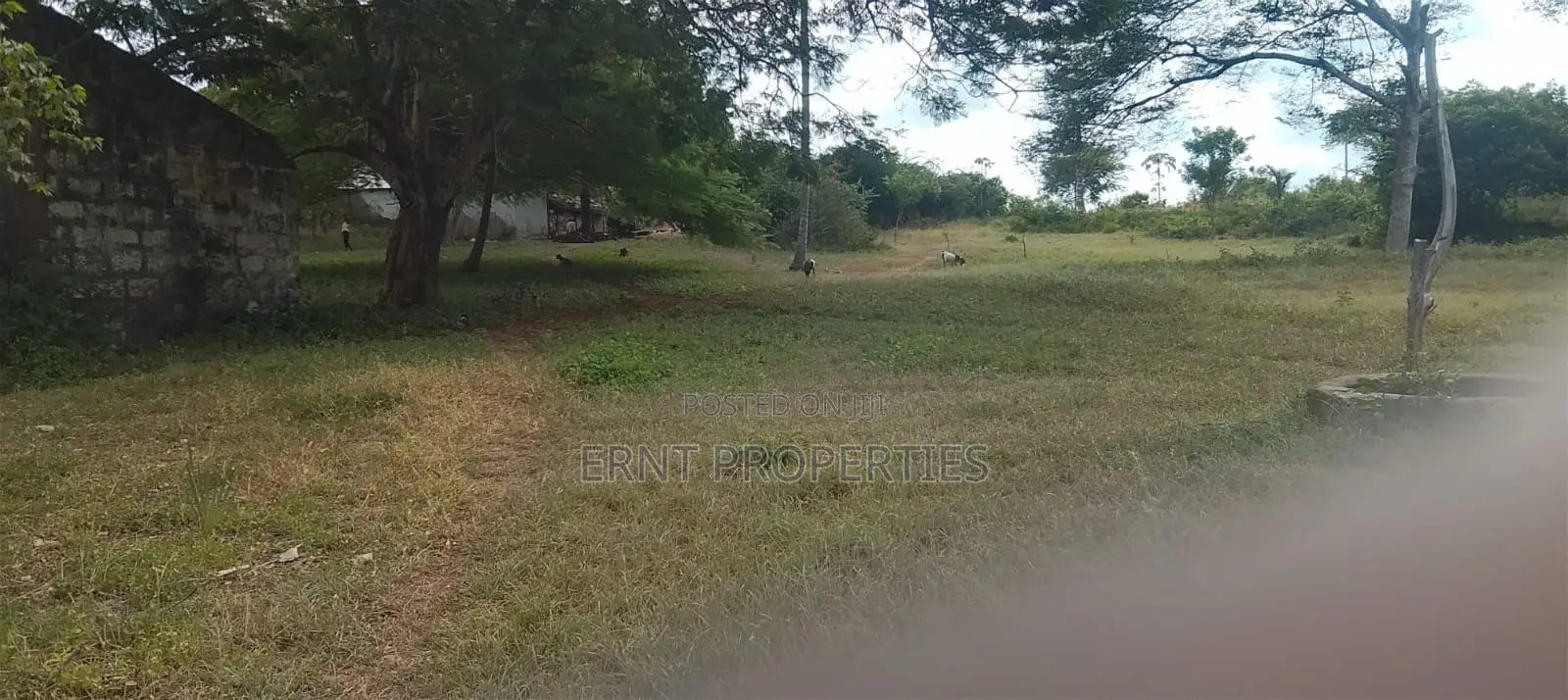 4.3-Acre Beachfront Property for Sale | Tiwi, Kwale