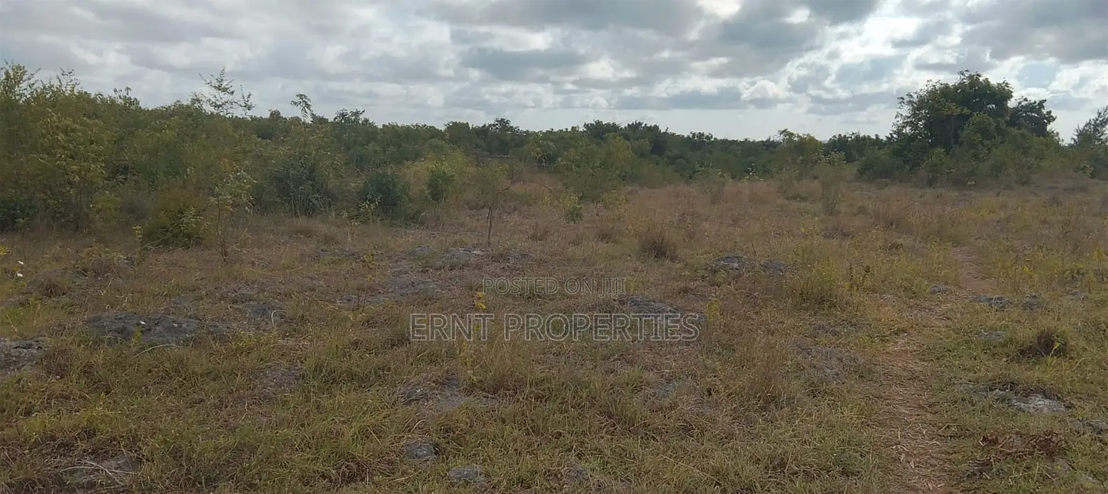 4.3-Acre Beachfront Property for Sale | Tiwi, Kwale