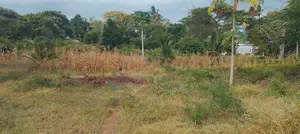 4.3-Acre Beachfront Property for Sale | Tiwi, Kwale