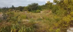 4.3-Acre Beachfront Property for Sale | Tiwi, Kwale