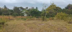 4.3-Acre Beachfront Property for Sale | Tiwi, Kwale