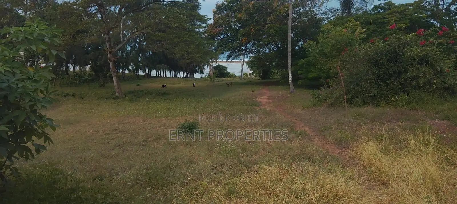 4.3-Acre Beachfront Property for Sale | Tiwi, Kwale
