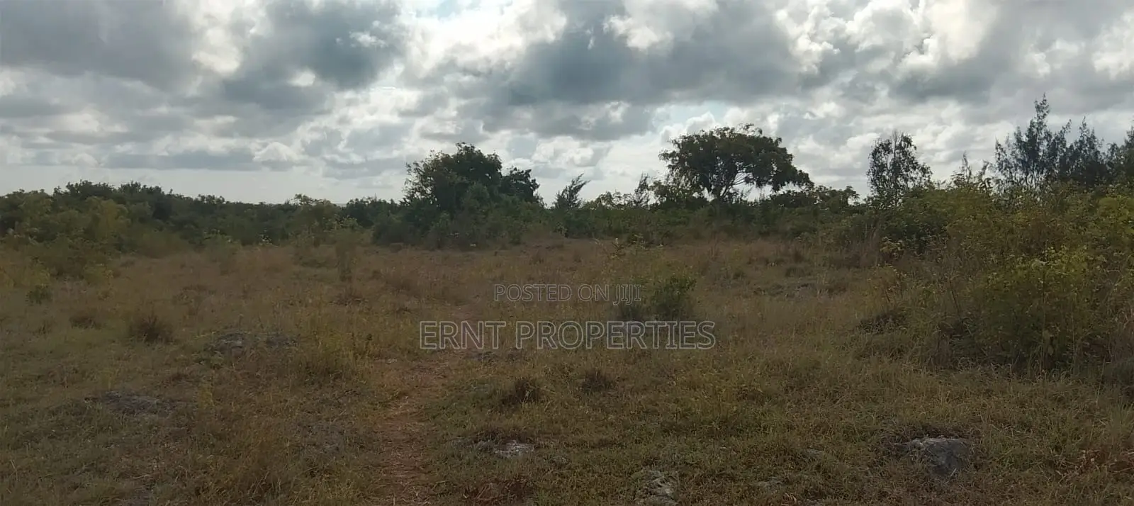 4.3-Acre Beachfront Property for Sale | Tiwi, Kwale