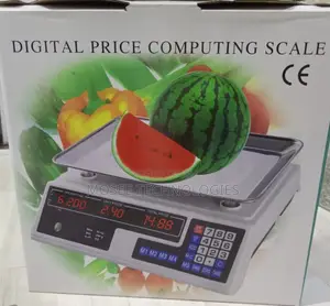 ACS 40 Digital Weighing Scale Without Arm