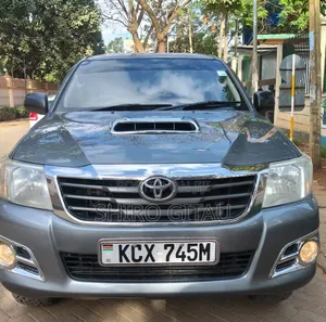 Toyota Hilux 3.0 D-4D 4x4 2014 Gray