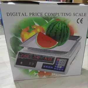 ACS 40 Shop Weighing Scale Without Arm