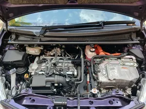 Toyota Vitz 2019 Purple