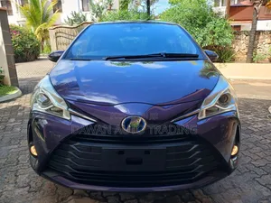 Toyota Vitz 2019 Purple