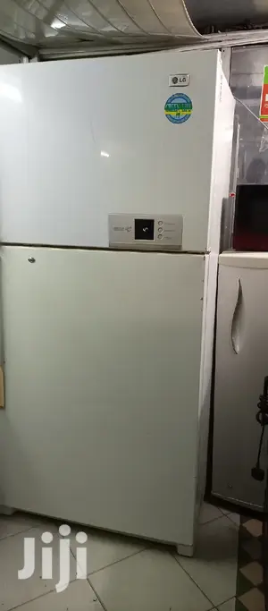Lg Big Fridge