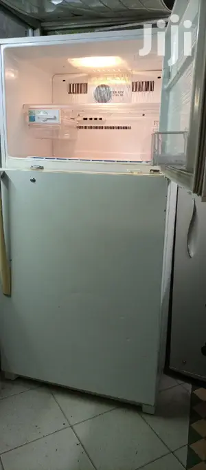 Lg Big Fridge