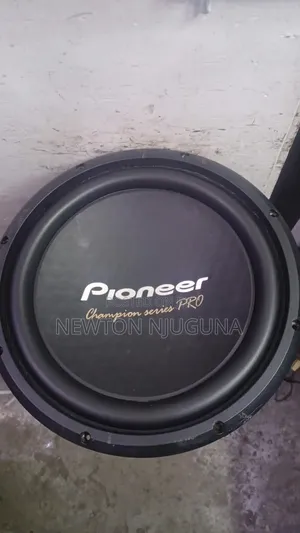 Pioneer 3004D4
