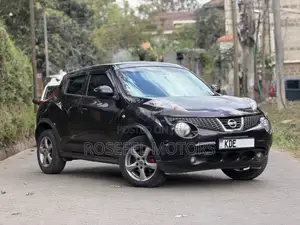 Nissan Juke 2014 Purple