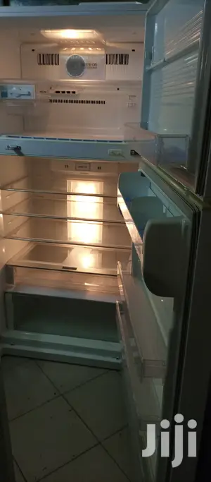 Lg Big Fridge