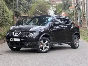 Nissan Juke 2014 Purple