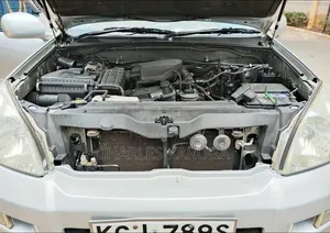 Toyota Land Cruiser Prado 2007 Silver