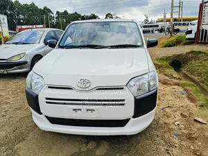 Toyota Probox 1.5 GL 4WD 2019 White