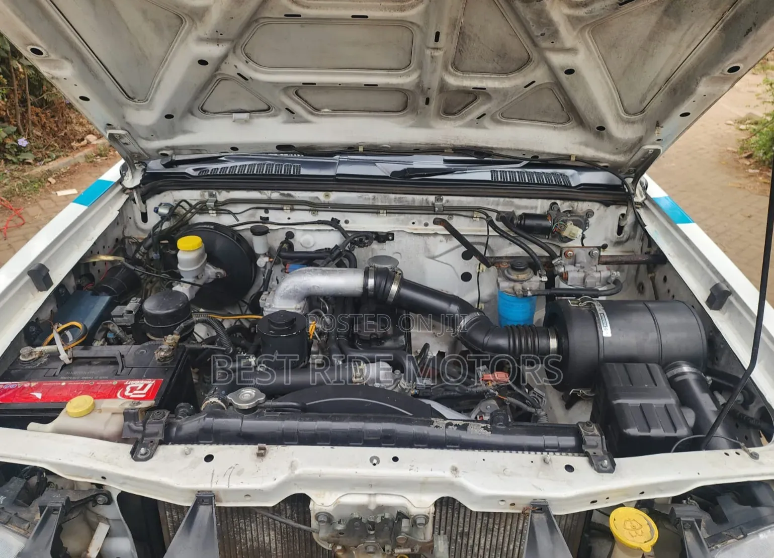 Nissan Hardbody 2012 White