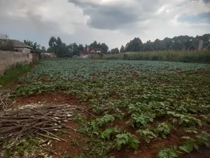 Prime 1 Acre in Kitale
