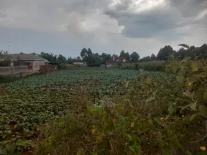 Prime 1 Acre in Kitale