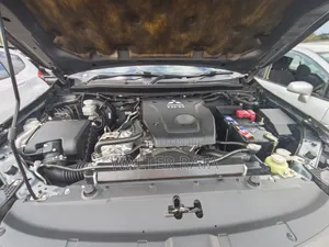 Mitsubishi Pajero 2018 Gray