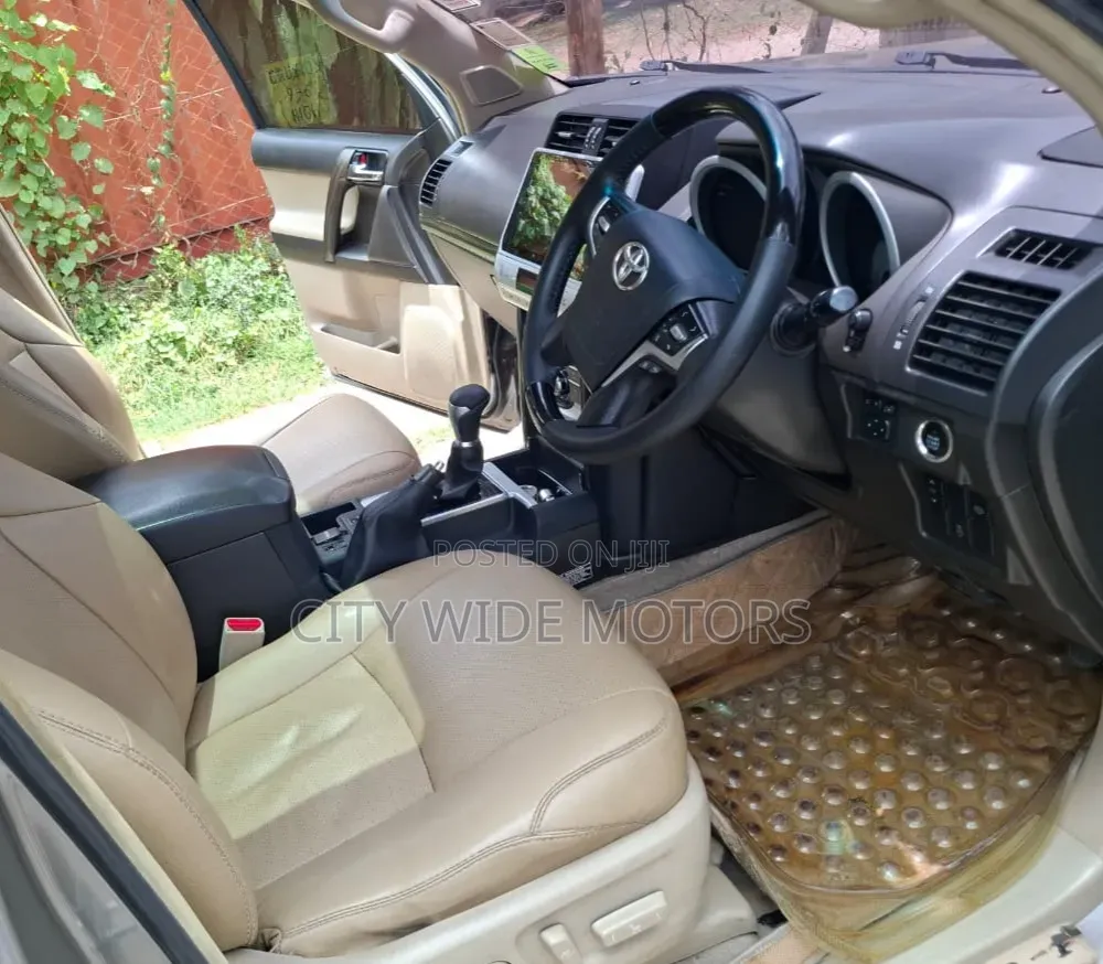 Toyota Land Cruiser Prado KAKADU 2011 Gray