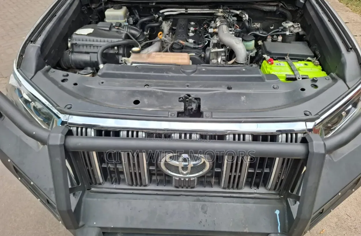 Toyota Land Cruiser Prado KAKADU 2011 Gray