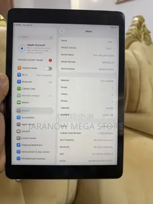 Apple iPad 10.2 (2021) 256 GB Gray