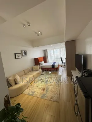 Spacious Studio in Kilimani