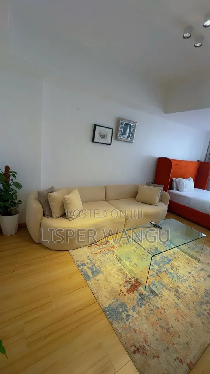 Spacious Studio in Kilimani