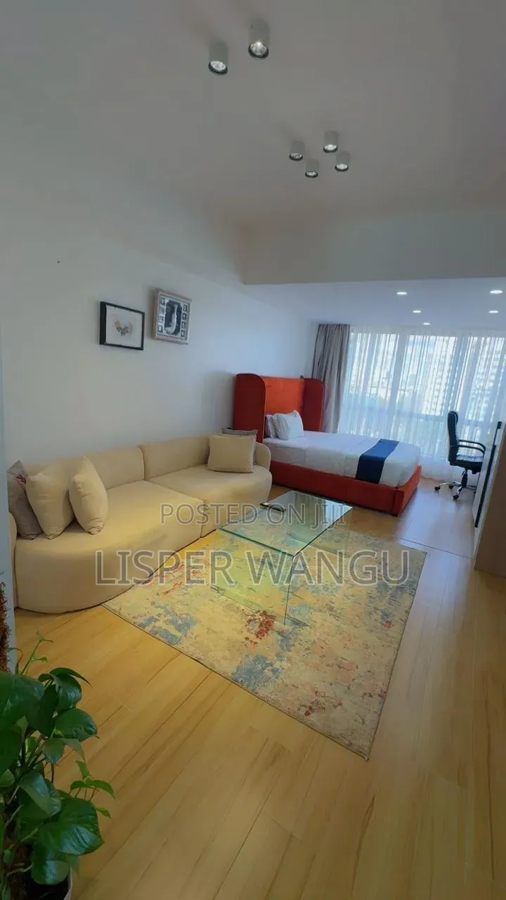 Spacious Studio in Kilimani