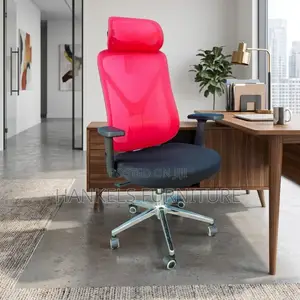 Modern Orthopedic Office Seat