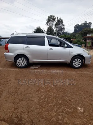 Toyota Wish 2009 Silver