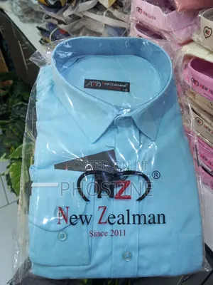 Plain Shirts