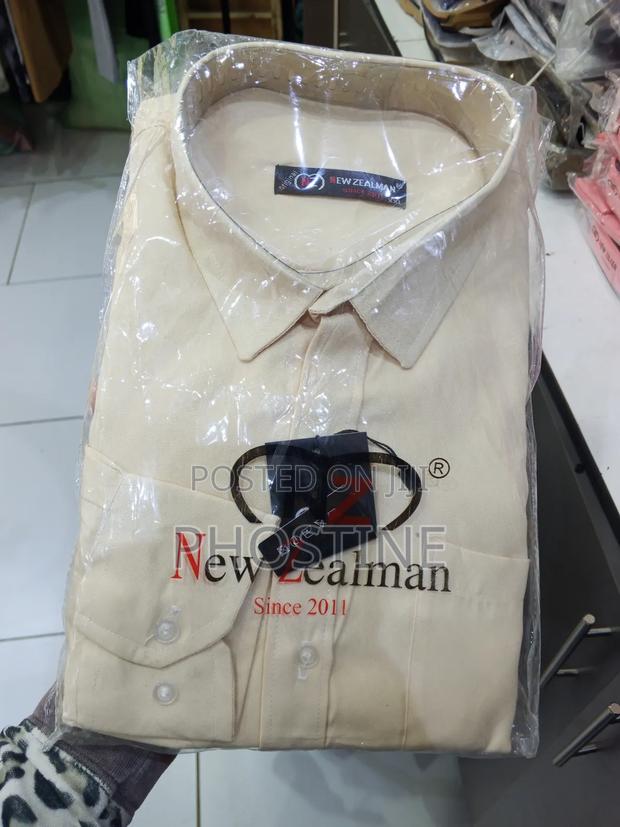 Plain Shirts - thumbnail 8