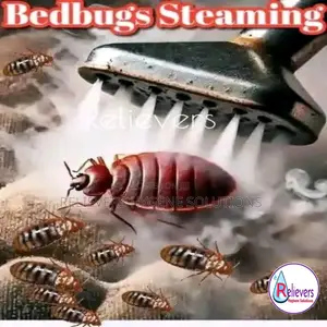 Bedbugs Steaming and Spraying Services